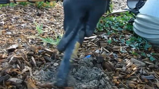 Fisher 1266x field test смотреть онлайн