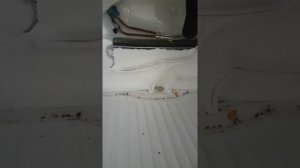 Холодильник  Whirpool.Выросла снеговая шуба.Проверка всех узлов. Прочистка дренажа.Интересно и в др