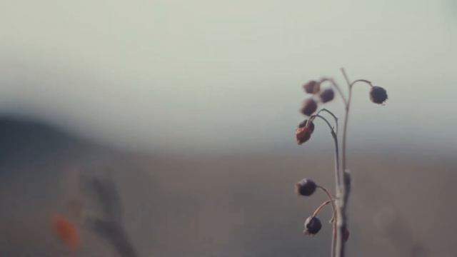 Helios -44-2 смотреть онлайн