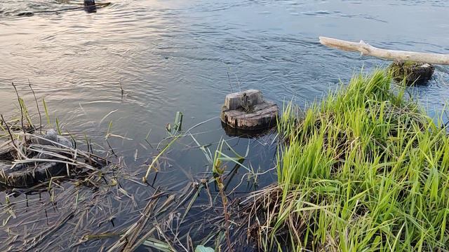 VID_20240509_194656 смотреть онлайн