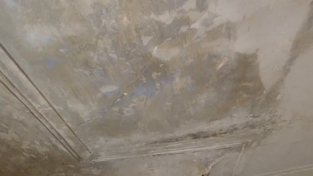 д. 5 Мел - ВСЁ! Лимонная и уксусная кислота. Удаление залипшей меловой побелки с гипсовой лепнины смотреть онлайн