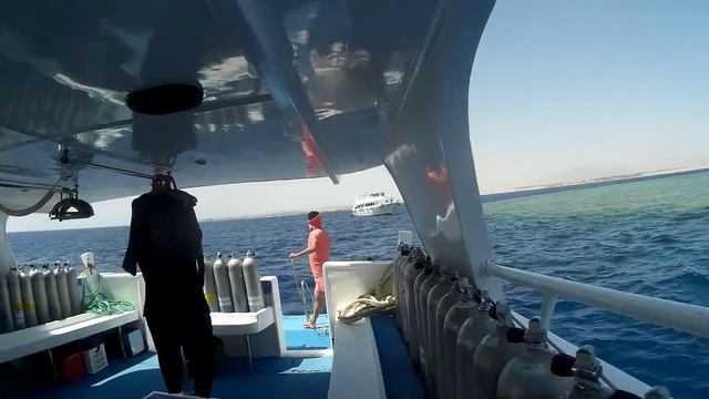 моя поездка в Египет на дайвинг смотреть онлайн