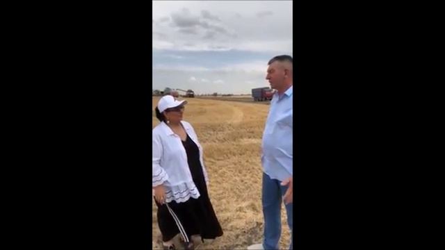 АРУСЯ КАВКАЗ ПО ПОЛЯМ СЕГОДНЯ ПОКАЗЫВАЮ КАК УБИРАЕМ ХЛЕБ 🌾! Из чего делают муку!? смотреть онлайн