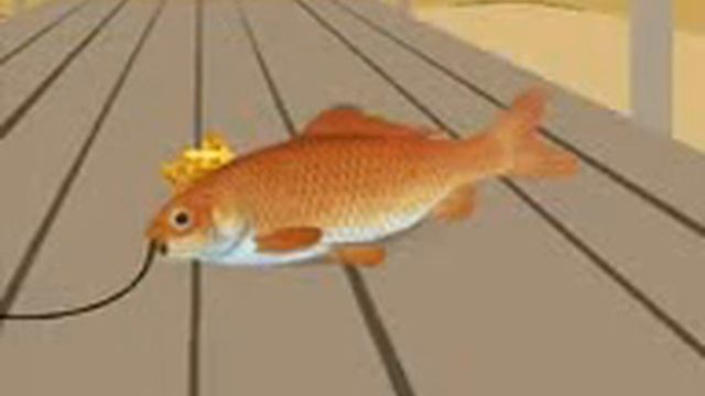 Золотая рыбка. Осетинский вариант.