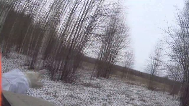 Охота на лося загоном. Волк тропит кабана. смотреть онлайн