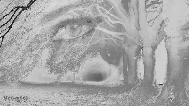 LEONARD COHEN - Waiting for the miracle. смотреть онлайн