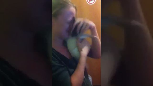 Тойфокстерьер#ласковыйлучик# смотреть онлайн