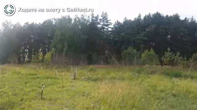 Охота в Тульской области – «Охотничье-рыболовное хозяйство «Ясногорье» охота на лисицу смотреть онлайн