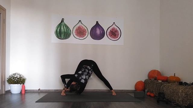 Шоб тобі гнучко було! Йога для кульшових та сили гнучкості. смотреть онлайн