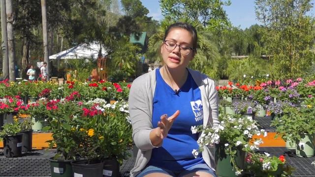 Garden Tip With Cat Episode 2 | Earth Works Jax смотреть онлайн