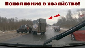 Купили еще одну корову - решились на кардинальные перемены в деревенском хозяйстве!