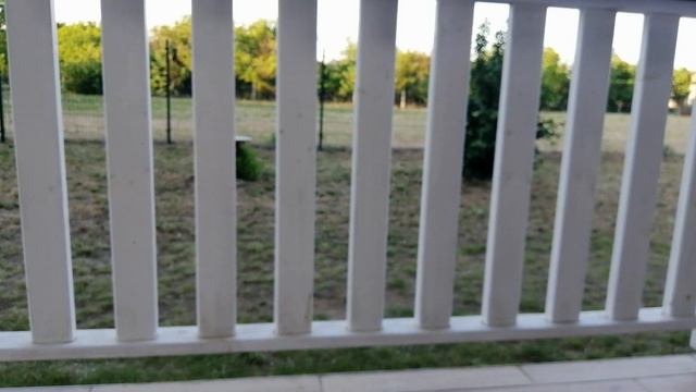 Обзор DANCING IN THE DARK Tarot! Колода карт Таро "Танцующие в темноте" смотреть онлайн