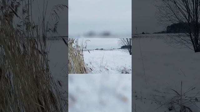 Тофалар АтласЭко на испытаниях #снегоход #тофалар #атлас #атласэко смотреть онлайн