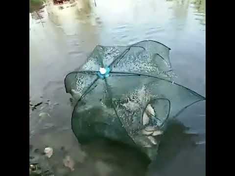 Сеть рыболовная Автоматическая, 4 28 отверстий, нейлоновая зонт для ловли раков и рыбы с Алиэкспресс смотреть онлайн