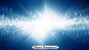 Ультразвук для котов кошек и собак  Звук ультразвука  Мощный отпугиватель собак и кошек