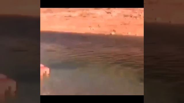 вот почему мужчины живут меньше смотреть онлайн