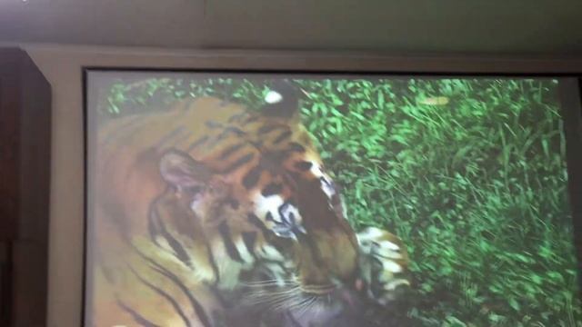 Проектор Infocus IN3126 смотреть онлайн