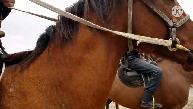 NAMANGAN BEGABOD OT BOZORI 20.03.2021