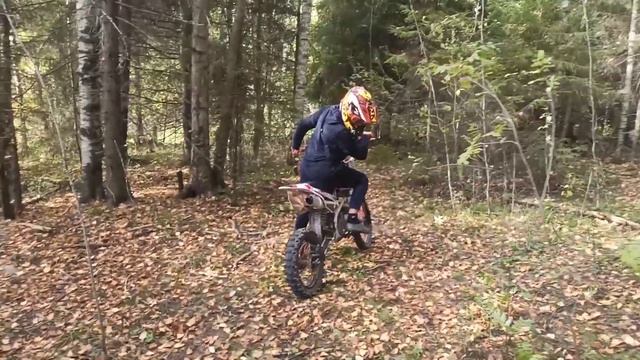 укатываем трассу в лесу на Kayo krz 140 и Kayo tt 125. смотреть онлайн