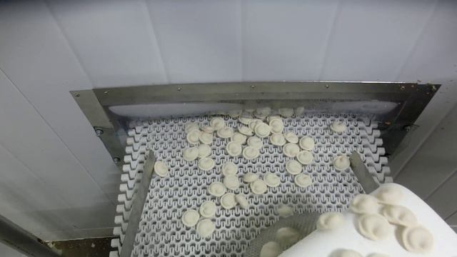 Комплексная пельменная линия 450-600кг в час смотреть онлайн