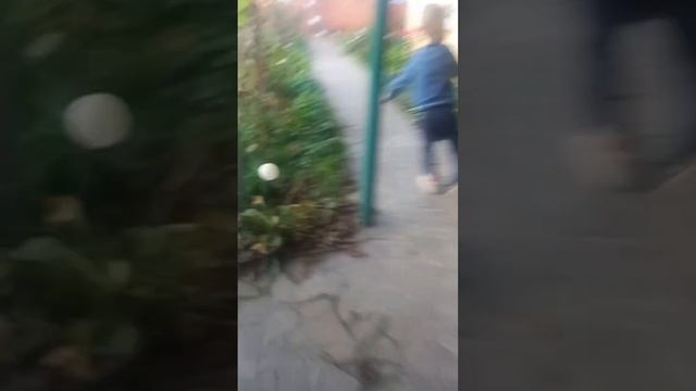 сирено головий часть 7 номер 2 смотреть онлайн