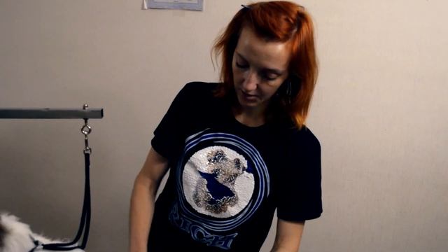 Тримминг Фокстерьера - Часть 3: Тримминг шерсти по корпусу. смотреть онлайн