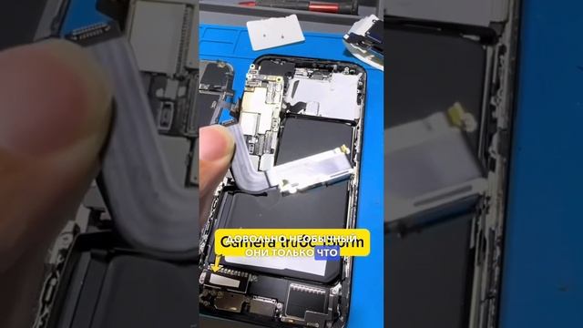 Веселье и развлечения на вечеринках