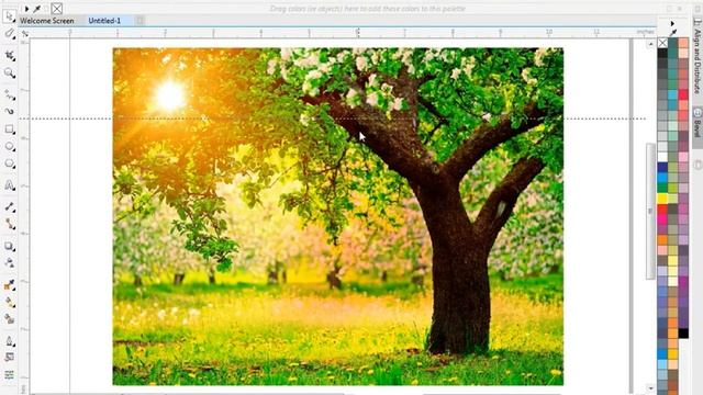 Photo Effect Using Crop tool CorelDRAW x7 Tutorial Experiment Course Urdu-hindi #22 by as graphics смотреть онлайн