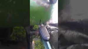 Лодочный мотор Стрела с карбюратором к60