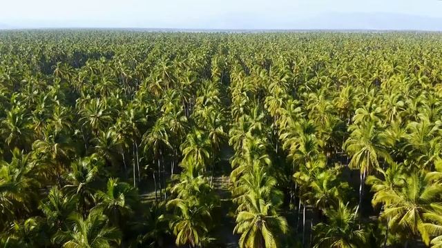 Избавление от долгов. Научные молитвы Джозефа Мерфи. смотреть онлайн