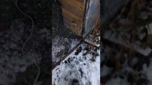 Запуск газового котла от бензогенератора