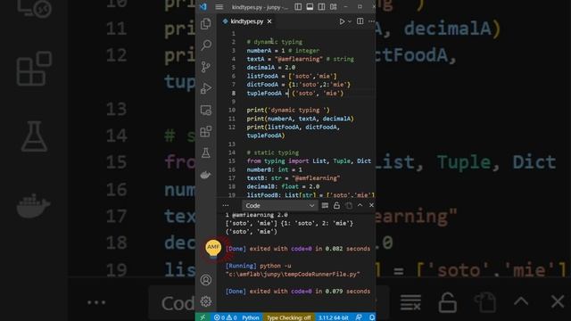 python variabel dynamic atau static typing смотреть онлайн