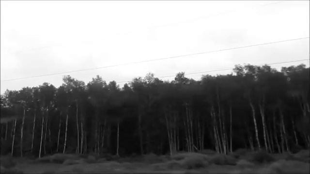 Тамара и гитара смотреть онлайн