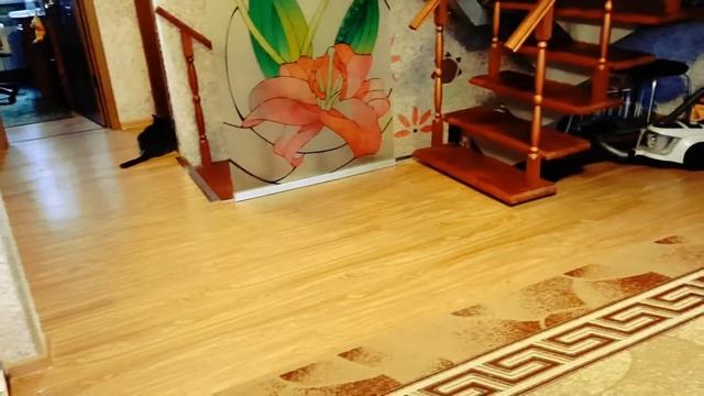 Тащу цветы по лестнице, а мозги так и сыплются. смотреть онлайн