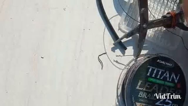 ловля карпа в Белгород-Днестровском лимане смотреть онлайн