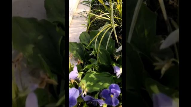 Турагенство в паралии, Греция, катерини