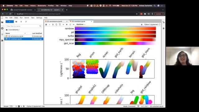 Python Tutorial Seminar Series - Advanced Visualization Techniques смотреть онлайн