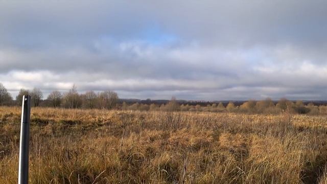 Охота на лося. Удачное ПОПАДАНИЕ в кадре!!! My Best Moose Hunting. смотреть онлайн