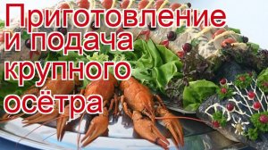 Рецепты из осетра - как приготовить осетра пошаговый рецепт - Приготовление и подача крупного осётра