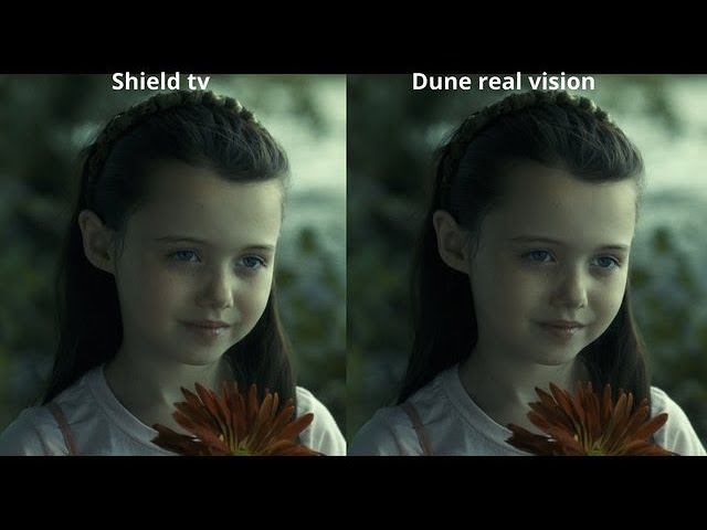 ENG. Nvidia Shield tv pro 2019. Dolby Vision color defect "Red push". Possible cause of occurrence. смотреть онлайн