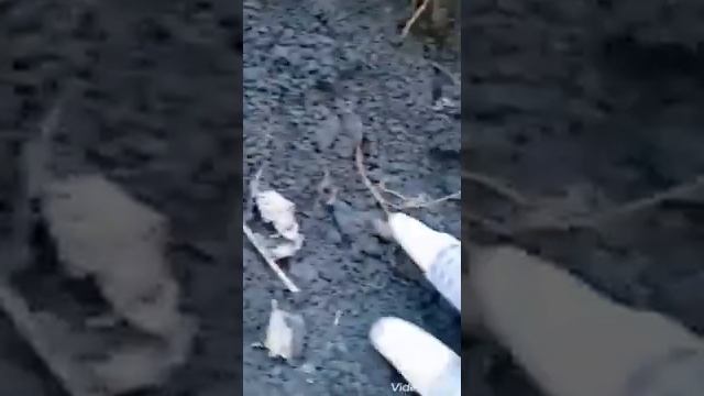 коп в Ростове-на-Дону