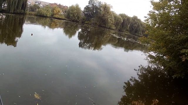 Agarron 110SF SR от Pontoon 21. Щуку ловит! смотреть онлайн