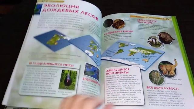 Обзор детских книг - энциклопедии про животных смотреть онлайн