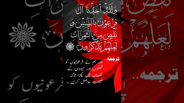 ولقد اخذنا آل فرعون بالسنین و نقص من الثمرات ،،،، #quran #beautiful #youtube #shortsvideo смотреть онлайн