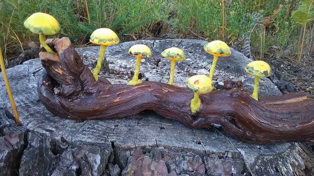 7 Lighted mushrooms with yellow light смотреть онлайн
