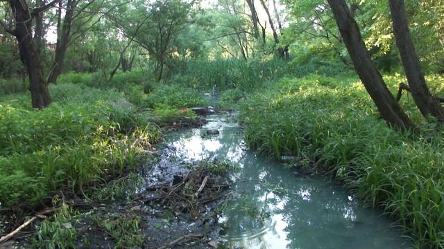 Канализационный ручей в Михнево смотреть онлайн