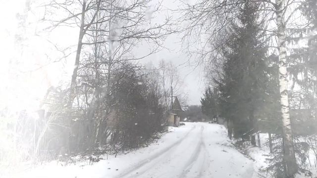 РЕШИЛИ КУЧУ ВОПРОСОВ за один день/ Сгоняли на дачу/ МФЦ Москва ОФОРМЛЯЕМ ПАСПОРТ смотреть онлайн