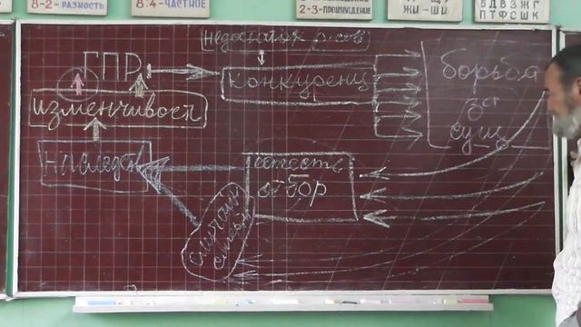 117 Приспособление. Бусый волк. Палочник смотреть онлайн