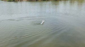 Авианосец на пульте