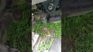 как открутить болт шкива коленвала.КАРИЗМА